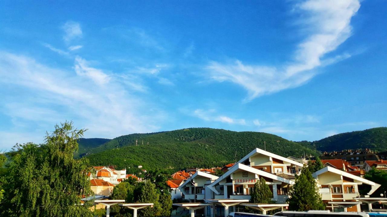 Vila Simic Soko Banja Exterior foto